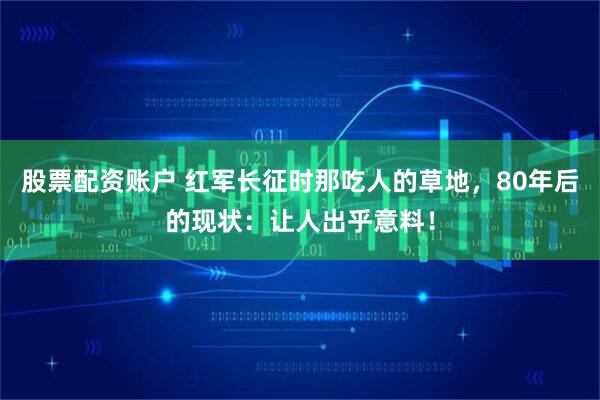 股票配资账户 红军长征时那吃人的草地，80年后的现状：让人出乎意料！